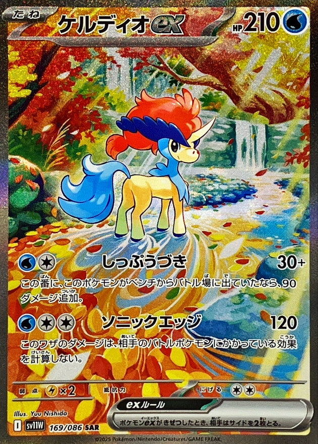 Pokemon Cards Keldeo ex SAR 169/086 Japanese